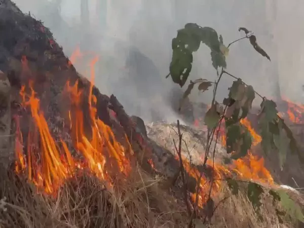 Udhampur के मृदा रूपांतरण क्लौसर में लगी आग Udhampur के मृदा रूपांतरण क्लौसर में लगी आग
