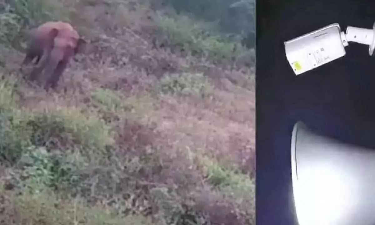 Karnataka: नई तकनीक किसानों को जंगली हाथियों से दूर रखने में मदद कर रही Karnataka: नई तकनीक किसानों को जंगली हाथियों से दूर रखने में मदद कर रही