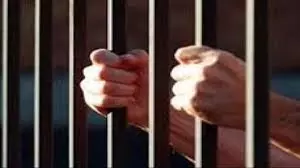 Palghar: आपसी विवाद में प्रेमिका की हत्या करने के आरोप में व्यक्ति गिरफ्तार Palghar: आपसी विवाद में प्रेमिका की हत्या करने के आरोप में व्यक्ति गिरफ्तार