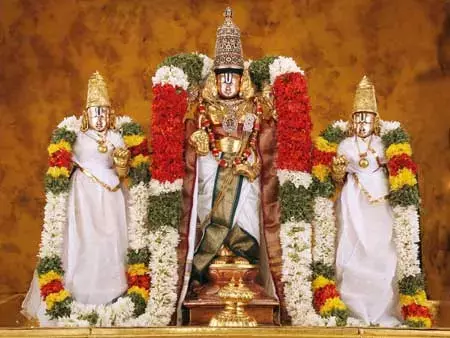 Tirumala : श्रीवारी अर्जिता सेवा कितास कोटा आज जारी किया गया Tirumala : श्रीवारी अर्जिता सेवा कितास कोटा आज जारी किया गया