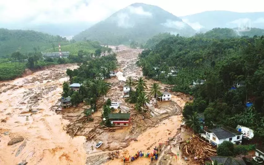 Wayanad Resettlement: एलस्टोन एस्टेट में स्थापित होगी पहली टाउनशिप Wayanad Resettlement: एलस्टोन एस्टेट में स्थापित होगी पहली टाउनशिप