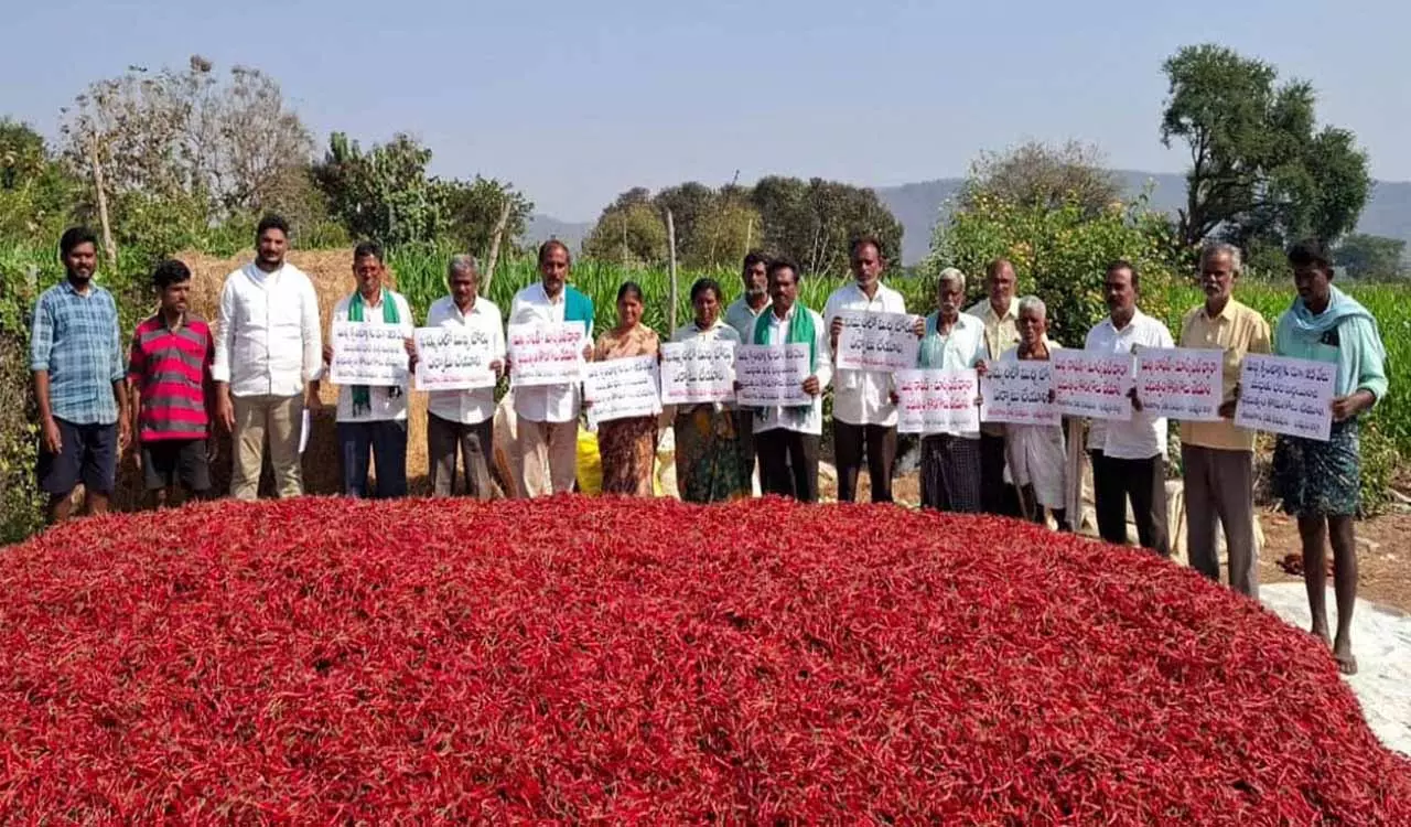 Khammam में मिर्च बोर्ड स्थापित करने की मांग जोर पकड़ रही Khammam में मिर्च बोर्ड स्थापित करने की मांग जोर पकड़ रही