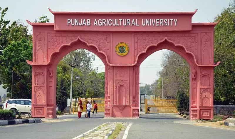 PAU ने भूमिपूजन किया, कृषि विशेषज्ञों को नियुक्त किया PAU ने भूमिपूजन किया, कृषि विशेषज्ञों को नियुक्त किया
