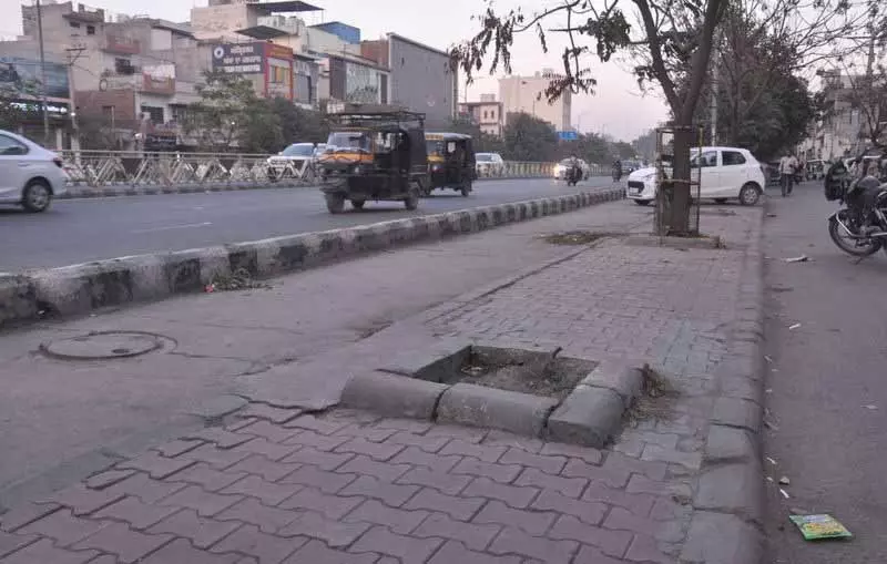 Bus Rapid ट्रांजिट सिस्टम कॉरिडोर में अवैध स्टॉलों के पास लगे पौधे गायब हो गए Bus Rapid ट्रांजिट सिस्टम कॉरिडोर में अवैध स्टॉलों के पास लगे पौधे गायब हो गए