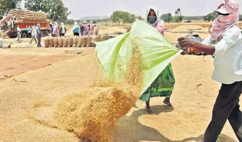 Karimnagar में धान किसान बोनस का इंतजार कर रहे Karimnagar में धान किसान बोनस का इंतजार कर रहे