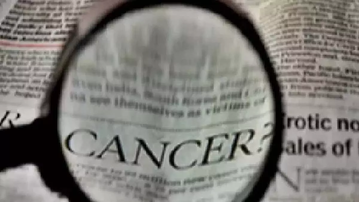 Cancer उपचार परिणामों में प्रतिरक्षा कोशिकाओं की भूमिका का पता लगाया गया- अध्ययन Cancer उपचार परिणामों में प्रतिरक्षा कोशिकाओं की भूमिका का पता लगाया गया- अध्ययन