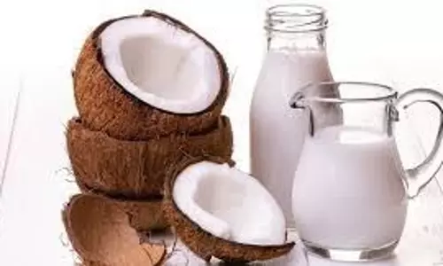 Hair Tips: बालों के लिए वरदान है नारियल का दूध, घर पर बनाएं और ऐसे लगाएं