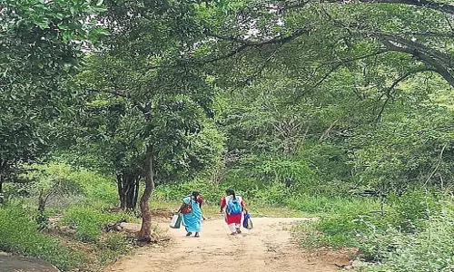 Kerala: आदिवासी बच्चों को पढ़ाने के लिए कठिनाइयों का सामना करना Kerala: आदिवासी बच्चों को पढ़ाने के लिए कठिनाइयों का सामना करना