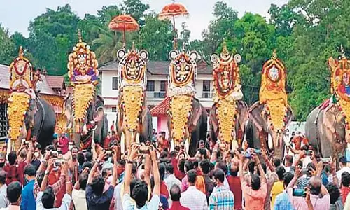 Kerala: केरल उच्च न्यायालय ने हाथी महोत्सव की बुकिंग को लेकर गुरुवायुर देवस्वोम से सवाल पूछे