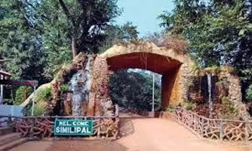 Baripada:  वन विभाग ने सिमिलिपाल जंगल की आग पर काबू पाने के लिए कमर कस ली