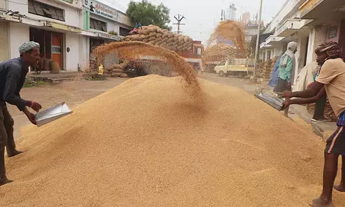 Odisha: बालिकुडा चावल मिल पर छापेमारी से उठे सवाल Odisha: बालिकुडा चावल मिल पर छापेमारी से उठे सवाल