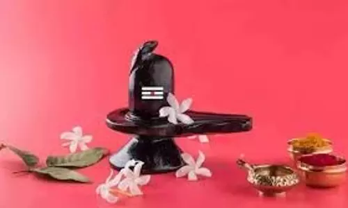 महाशिवरात्रि: जानिए शिवलिंग पर काले तिल और चावल चढ़ाने से क्या होता है लाभ