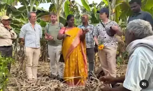 जर्मन विशेषज्ञ AP की प्राकृतिक खेती का पता लगाएंगे