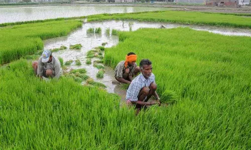 Kerala श्रम कल्याण बोर्ड पर 2011 करोड़ रुपये का भुगतान लंबित Kerala श्रम कल्याण बोर्ड पर 2011 करोड़ रुपये का भुगतान लंबित