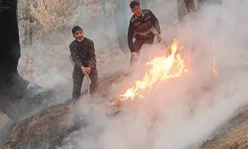 अपर्याप्त बर्फबारी के कारण Gulmarg में शीतकालीन खेल स्थगित अपर्याप्त बर्फबारी के कारण Gulmarg में शीतकालीन खेल स्थगित