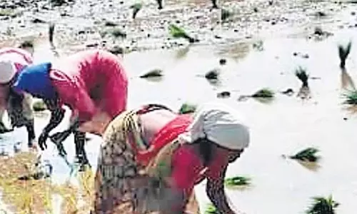 Telangana कृषि भूमि के उच्च तकनीक सर्वेक्षण की योजना बना रहा