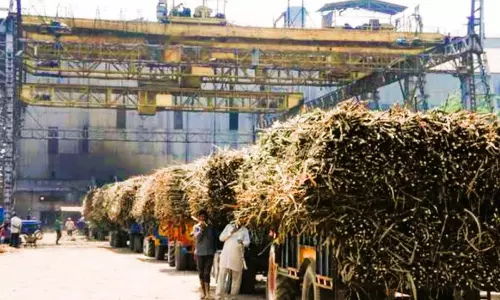 Bareilly की ये चीनी मिल इस दिन से बंद