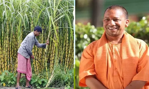 Lucknow: यूपी में नहीं बढ़ेगा गन्ना मूल्य
