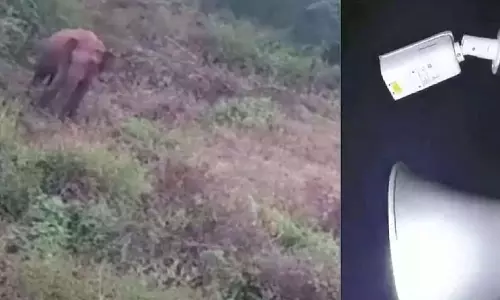 Karnataka: नई तकनीक किसानों को जंगली हाथियों से दूर रखने में मदद कर रही