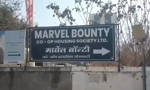 पुणे के आवासीय अपार्टमेंट में 300 बिल्लियाँ मिलीं, PMC ने जारी किया नोटिस