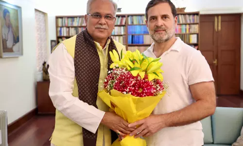 राहुल गांधी से भूपेश बघेल ने की सौजन्य भेंट