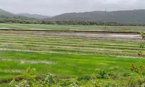 NGT ने भूमि अधिग्रहण पर रोक लगाने की मांग वाली याचिका पर सुनवाई स्थगित की