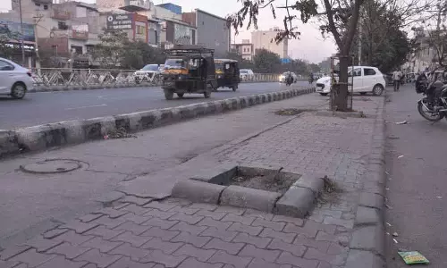 Bus Rapid ट्रांजिट सिस्टम कॉरिडोर में अवैध स्टॉलों के पास लगे पौधे गायब हो गए