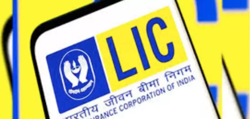 एलआईसी ने डिजिटल सेवाओं को बढ़ाने के लिए ‘वन मैन ऑफिस’ लॉन्च किया एलआईसी ने डिजिटल सेवाओं को बढ़ाने के लिए ‘वन मैन ऑफिस’ लॉन्च किया