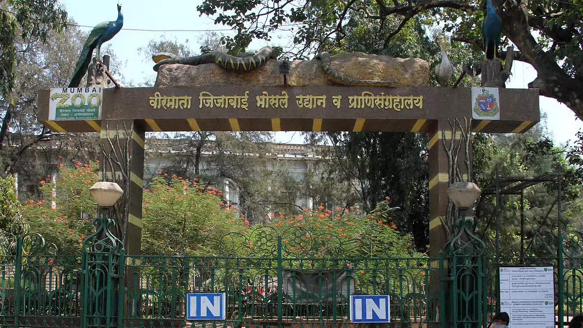 Mumbai: भायखला चिड़ियाघर आज खुला रहेगा; बीएमसी ने कल इस सप्ताह बंद रखने की घोषणा की Mumbai: भायखला चिड़ियाघर आज खुला रहेगा; बीएमसी ने कल इस सप्ताह बंद रखने की घोषणा की