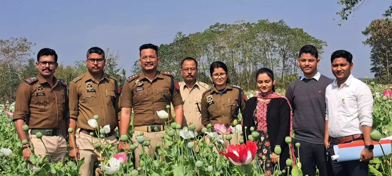 Assam: पुलिस ने घुलानी टापू में 8 बीघा अवैध अफीम की खेती नष्ट की Assam: पुलिस ने घुलानी टापू में 8 बीघा अवैध अफीम की खेती नष्ट की