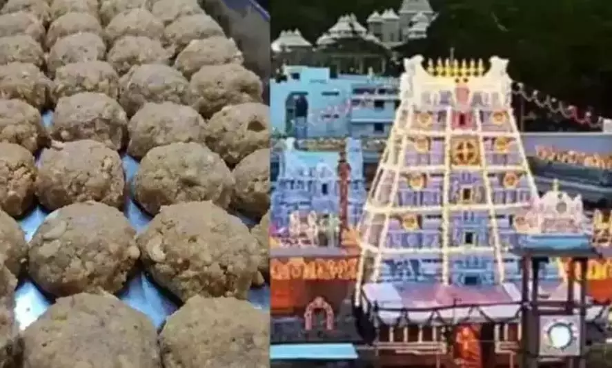 TTD लड्डू घी मामले में हिरासत में पूछताछ समाप्त TTD लड्डू घी मामले में हिरासत में पूछताछ समाप्त