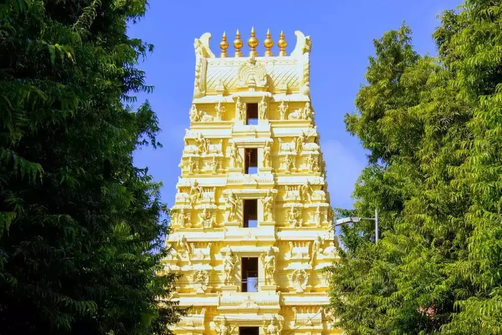 AP टूरिज्म ने विजयवाड़ा से श्रीशैलम के लिए टूर पैकेज की घोषणा की AP टूरिज्म ने विजयवाड़ा से श्रीशैलम के लिए टूर पैकेज की घोषणा की