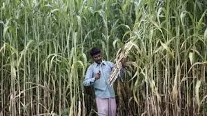 Meerut: गन्ना मूल्य वृद्धि न होने से किसानों पर आर्थिक संकट: राष्ट्रीय प्रवक्ता मनीष भारती Meerut: गन्ना मूल्य वृद्धि न होने से किसानों पर आर्थिक संकट: राष्ट्रीय प्रवक्ता मनीष भारती