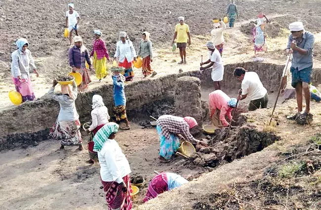 रोजगार गारंटी योजना: 856.66 करोड़ रुपये की धनराशि का दुरुपयोग किया गया रोजगार गारंटी योजना: 856.66 करोड़ रुपये की धनराशि का दुरुपयोग किया गया