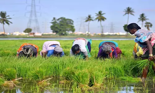 Andhra: आंध्र प्रदेश का कृषि में 30 प्रतिशत वृद्धि हासिल करने का लक्ष्य Andhra: आंध्र प्रदेश का कृषि में 30 प्रतिशत वृद्धि हासिल करने का लक्ष्य