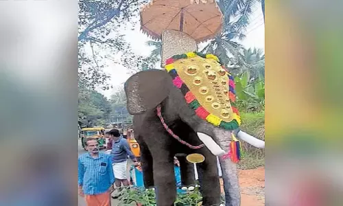 Kerala: सजीव हाथी की मूर्तियों की मांग बढ़ी