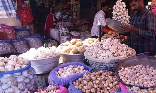 Tamil Nadu: मदुरै में लहसुन की कीमतों में 50 फीसदी की गिरावट से किसान मुश्किल में