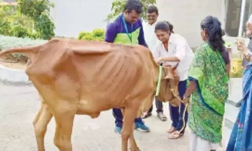 Andhra: एकॉर्ड स्कूल ने सड़क सुरक्षा अभियान शुरू किया