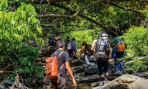 Tamil Nadu: पर्वतारोहण पर 15 अप्रैल तक प्रतिबंध