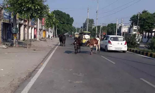 M.Garh में अवैध खनन जारी, ढाई महीने में 50 वाहन जब्त