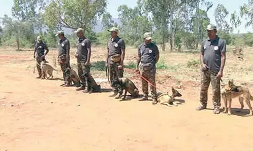 Bandipur टाइगर रिजर्व में भारत का पहला ट्रैकर कुत्ता प्रशिक्षण केंद्र