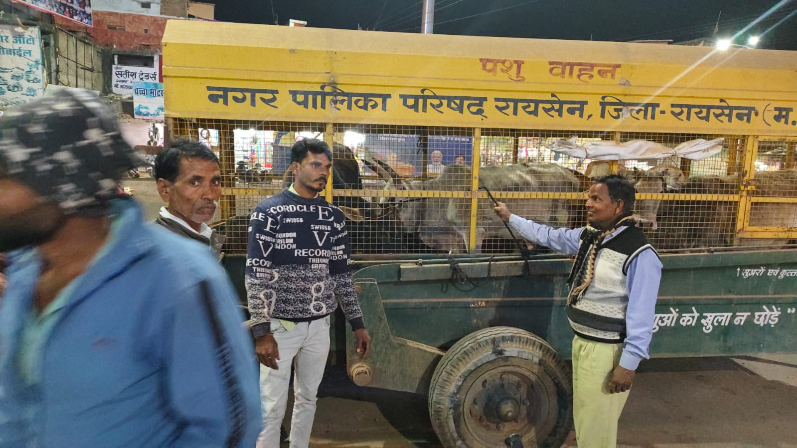 नगर पालिका परिषद ने चलाया सड़कों से पशु पकड़ो अभियान, दो रोज में 33 आवारा मवेशियों की धरपकड़