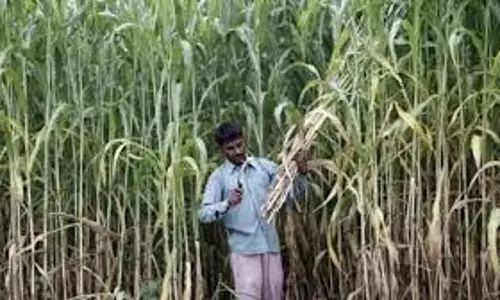 Meerut: गन्ना मूल्य वृद्धि न होने से किसानों पर आर्थिक संकट: राष्ट्रीय प्रवक्ता मनीष भारती
