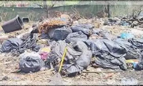 कैंडोलिम PHC स्वास्थ्य अधिकारी ने बागा में कचरा डंपिंग को लेकर समुद्र तट सफाई ठेकेदार को नोटिस जारी कैंडोलिम PHC स्वास्थ्य अधिकारी ने बागा में कचरा डंपिंग को लेकर समुद्र तट सफाई ठेकेदार को नोटिस जारी