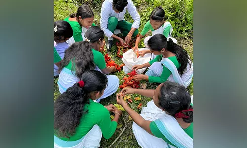 Assam: समुदाय संचालित नर्सरी हाथियों के आवास पुनर्स्थापन में सहायक