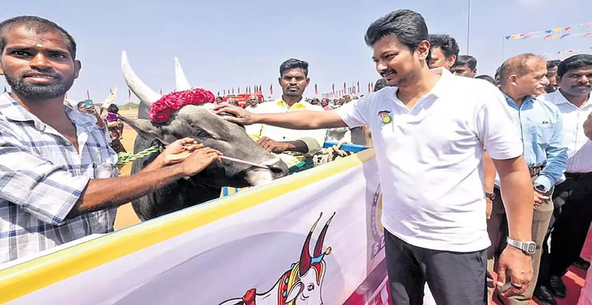 Tamil Nadu: डिप्टी सीएम उदयनिधि ने सुरियूर जल्लीकट्टू अखाड़े की नींव रखी Tamil Nadu: डिप्टी सीएम उदयनिधि ने सुरियूर जल्लीकट्टू अखाड़े की नींव रखी