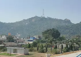 मां बम्लेश्वरी मंदिर से सटे पहाड़ी जंगल में लगी आग मां बम्लेश्वरी मंदिर से सटे पहाड़ी जंगल में लगी आग