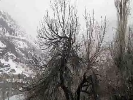 लाहौल और स्पीति में ताजा बर्फबारी, IMD ने चंबा, कांगड़ा, कुल्लू और मंडी के लिए ऑरेंज अलर्ट जारी किया लाहौल और स्पीति में ताजा बर्फबारी, IMD ने चंबा, कांगड़ा, कुल्लू और मंडी के लिए ऑरेंज अलर्ट जारी किया