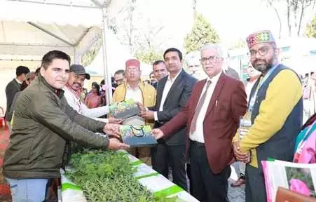 Palampur University ने पुष्प उत्पादन में नवाचार को बढ़ावा देने के लिए संगोष्ठी का आयोजन किया Palampur University ने पुष्प उत्पादन में नवाचार को बढ़ावा देने के लिए संगोष्ठी का आयोजन किया
