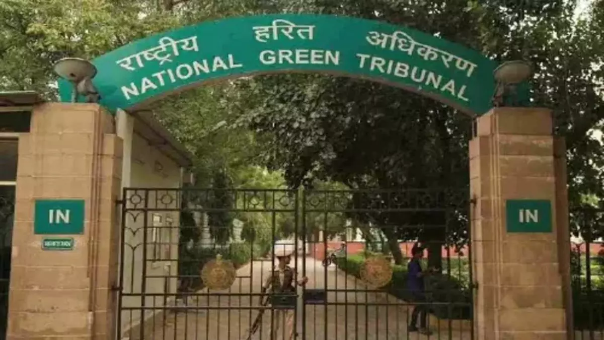 कक्का आझी को हटाने में निष्क्रियता के लिए अधिकारियों को तलब किया जाएगा: NGT ने चेतावनी दी कक्का आझी को हटाने में निष्क्रियता के लिए अधिकारियों को तलब किया जाएगा: NGT ने चेतावनी दी